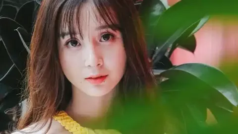 网友侮辱虚拟偶像